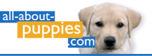 Dog Coats : Click Here to return to All About Puppies (and dogs) Home Page