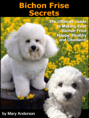 Bichon Frise Secrets