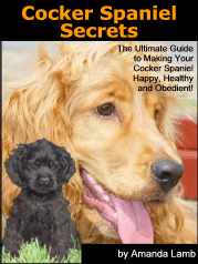 Cocker Spaniel Secrets