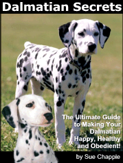 Dalmatian Secrets