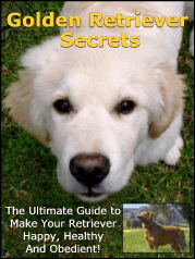 Golden Retriever Secrets