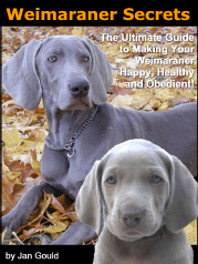 Weimaraner Secrets