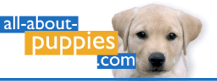 Golden Retriever: Back Home to all-about-puppies.com 