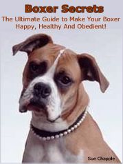 Boxer Dog Secrets