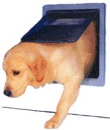 dog doors